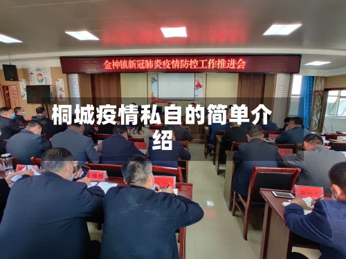 桐城疫情私自的简单介绍-第2张图片