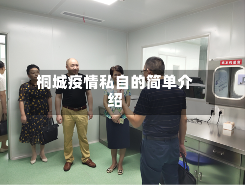 桐城疫情私自的简单介绍