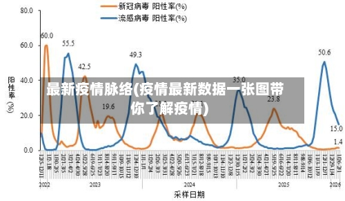 最新疫情脉络(疫情最新数据一张图带你了解疫情)