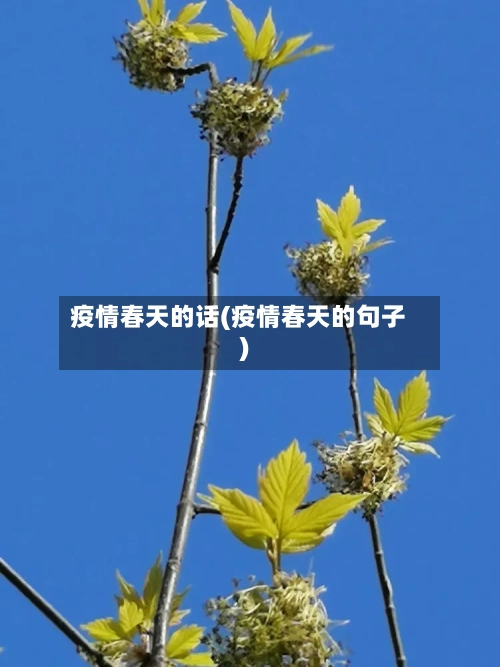 疫情春天的话(疫情春天的句子)