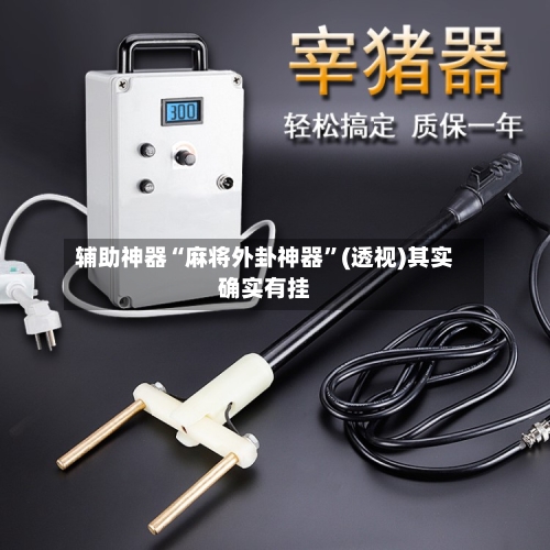 辅助神器“麻将外卦神器”(透视)其实确实有挂