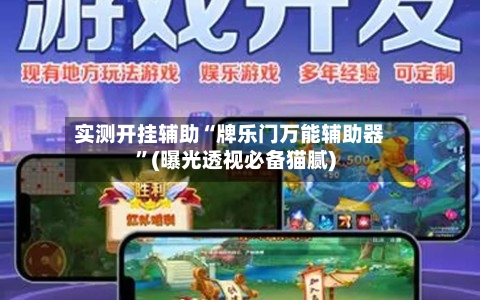 实测开挂辅助“牌乐门万能辅助器”(曝光透视必备猫腻)-第3张图片