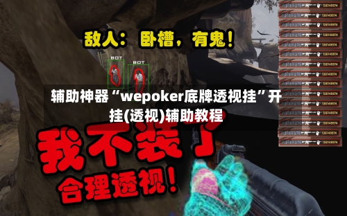 辅助神器“wepoker底牌透视挂”开挂(透视)辅助教程-第2张图片