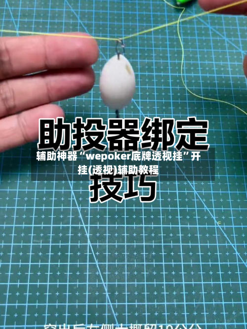 辅助神器“wepoker底牌透视挂”开挂(透视)辅助教程