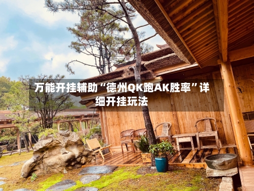 万能开挂辅助“德州QK跑AK胜率”详细开挂玩法