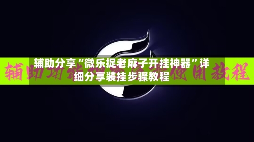 辅助分享“微乐捉老麻子开挂神器	”详细分享装挂步骤教程-第2张图片