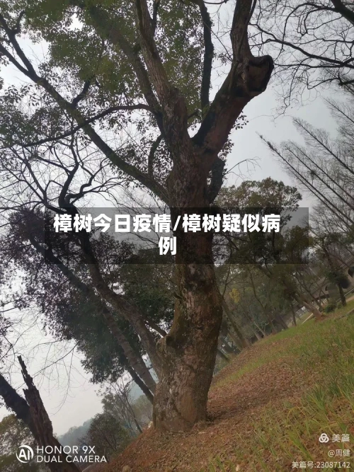 樟树今日疫情/樟树疑似病例-第3张图片