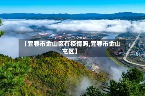 【宜春市金山区有疫情吗,宜春市金山屯区】