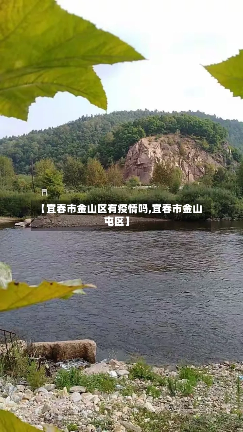 【宜春市金山区有疫情吗,宜春市金山屯区】-第3张图片