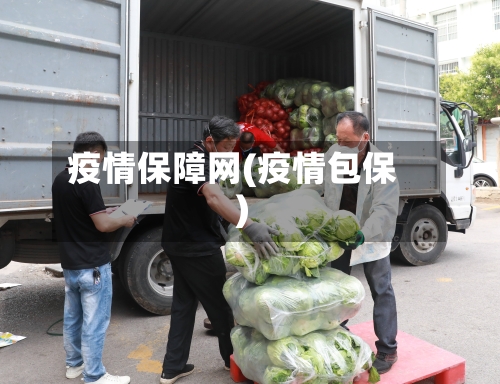 疫情保障网(疫情包保)-第3张图片