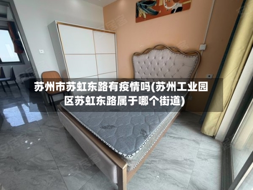 苏州市苏虹东路有疫情吗(苏州工业园区苏虹东路属于哪个街道)-第2张图片