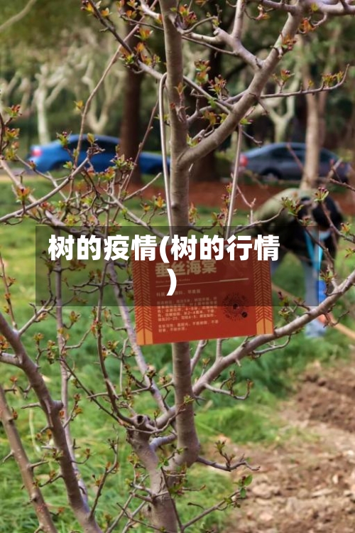 树的疫情(树的行情)-第3张图片