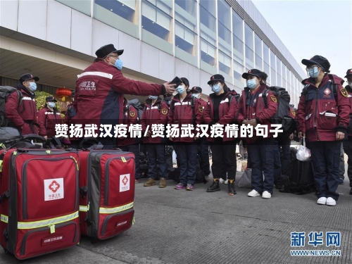 赞扬武汉疫情/赞扬武汉疫情的句子