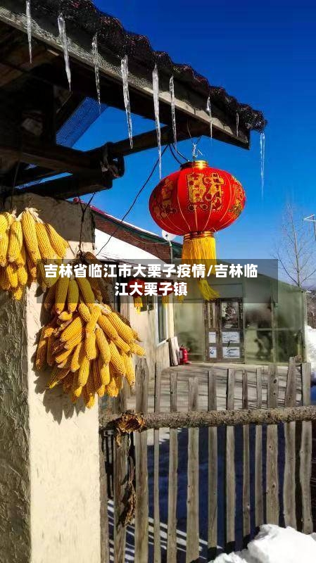 吉林省临江市大栗子疫情/吉林临江大栗子镇