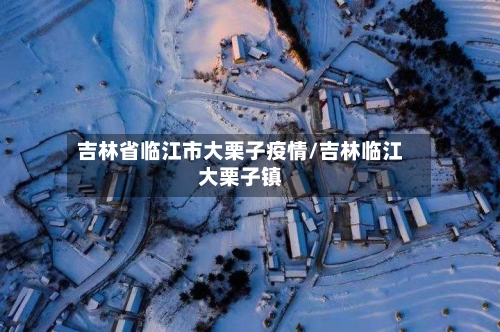 吉林省临江市大栗子疫情/吉林临江大栗子镇-第3张图片
