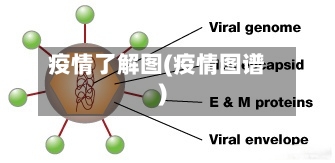 疫情了解图(疫情图谱)