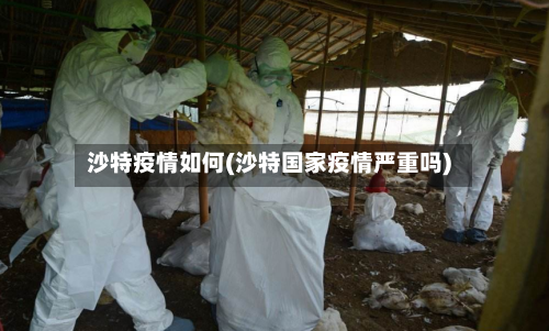 沙特疫情如何(沙特国家疫情严重吗)-第2张图片