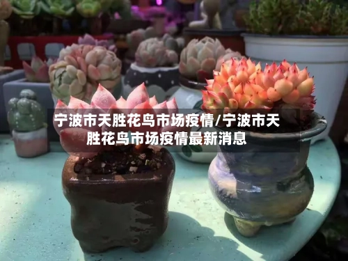 宁波市天胜花鸟市场疫情/宁波市天胜花鸟市场疫情最新消息