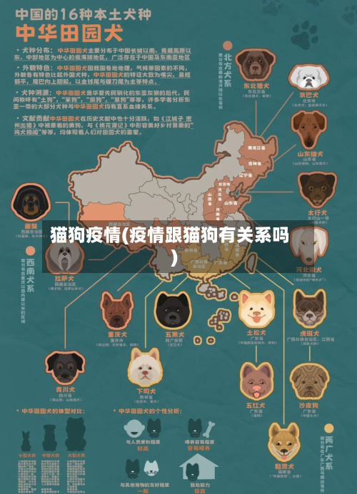 猫狗疫情(疫情跟猫狗有关系吗)