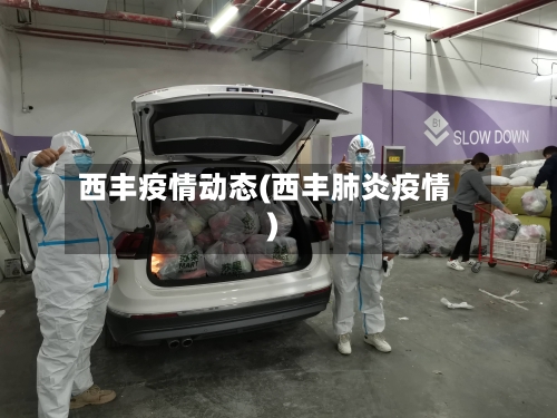 西丰疫情动态(西丰肺炎疫情)