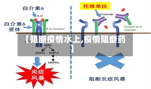 【阻断疫情水上,疫情阻断药】-第2张图片