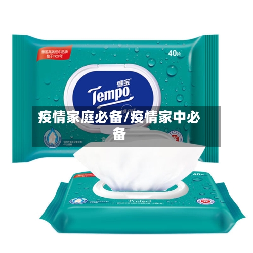 疫情家庭必备/疫情家中必备