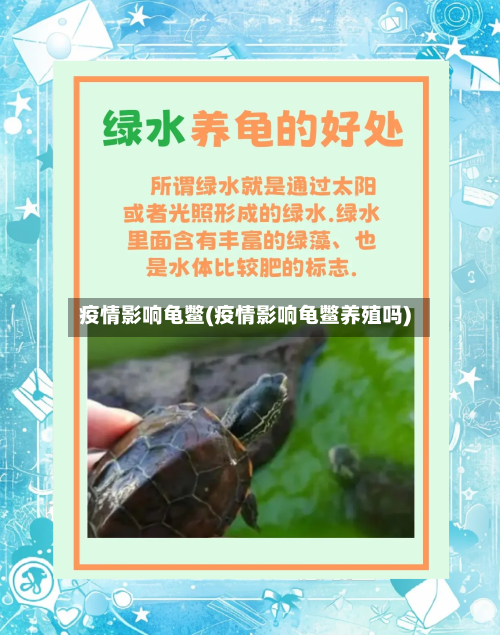 疫情影响龟鳖(疫情影响龟鳖养殖吗)