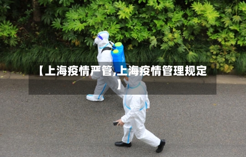 【上海疫情严管,上海疫情管理规定】-第3张图片