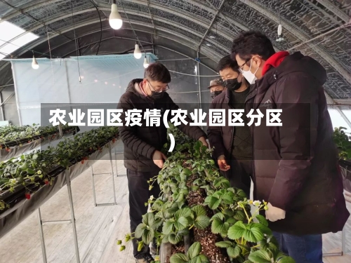 农业园区疫情(农业园区分区)