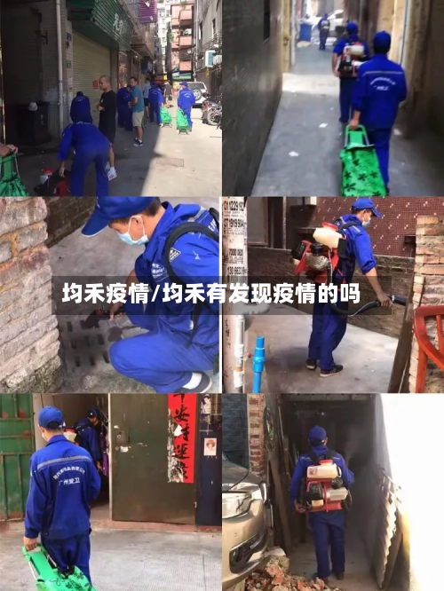 均禾疫情/均禾有发现疫情的吗