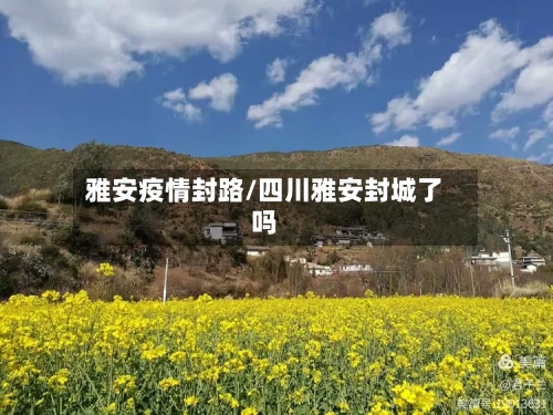 雅安疫情封路/四川雅安封城了吗-第3张图片