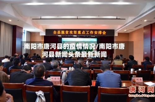 南阳市唐河县的疫情情况/南阳市唐河县新闻头条最新新闻-第2张图片